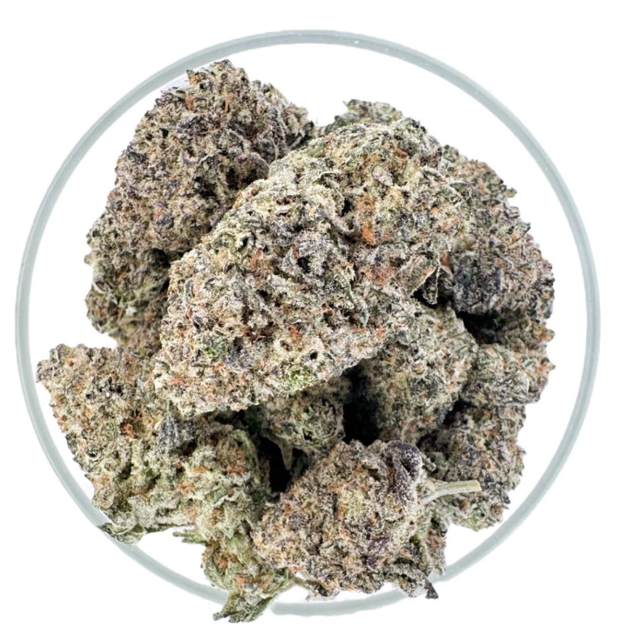 THCA CBD Hemp Flower - G41 (Indica) | THCA Gelato 41 CBD Flower Buds | Best and Strongest Exotic Indoor THCA G41 Flower Nugs | CBD Direct Solutions
