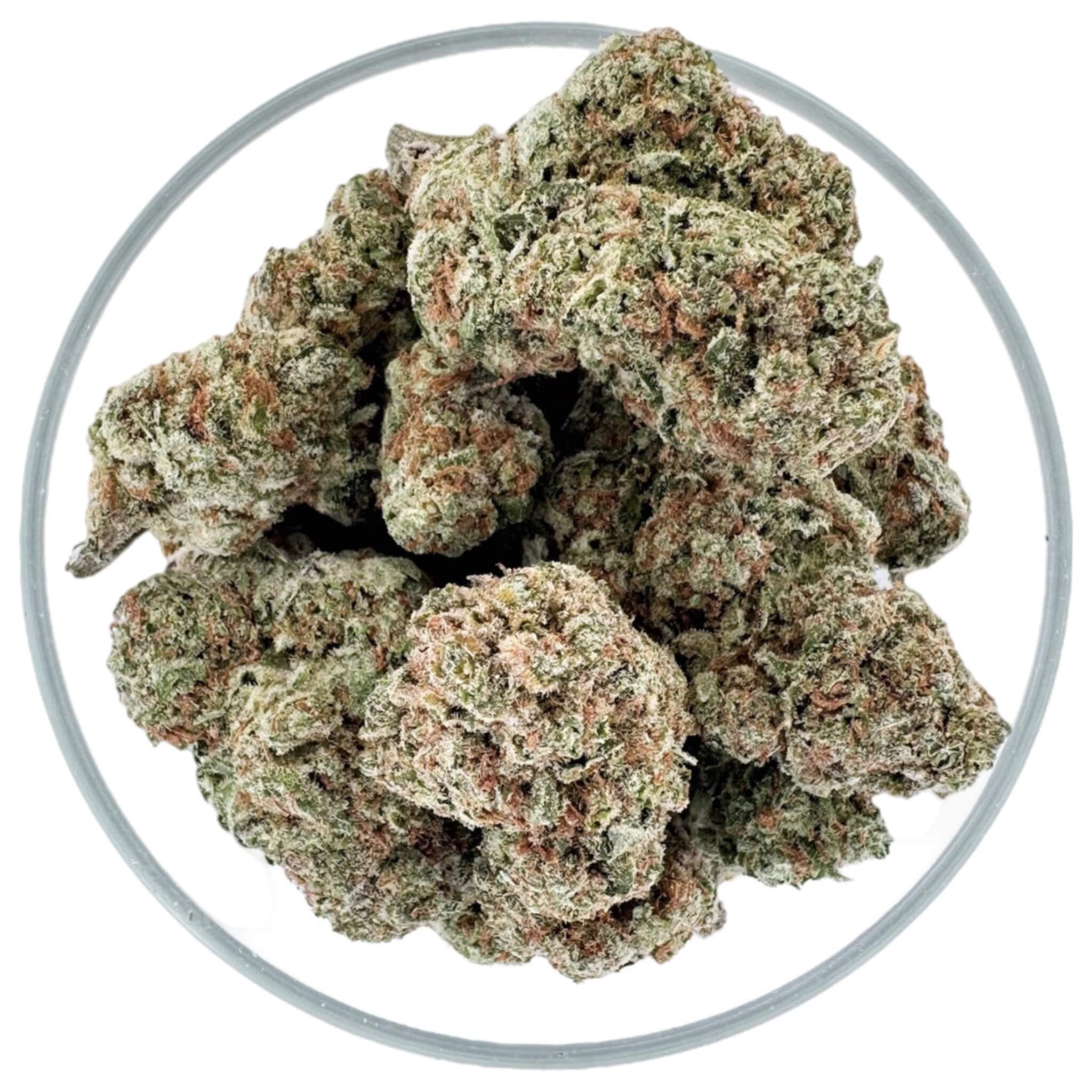 THCA CBD Hemp Flower - Orange Creamsicle (Sativa) | THCA Orange Creamsicle CBD Flower Buds | Best and Strongest Exotic Indoor THCA Orange Creamsicle Flower Nugs | Highest Orange Creamsicle THCA Flower | CBD Direct Solutions