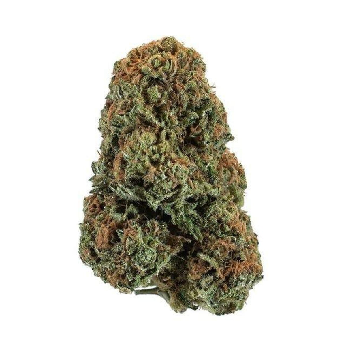 Things To Know About THC-O Flower - CBD Direct Solutions