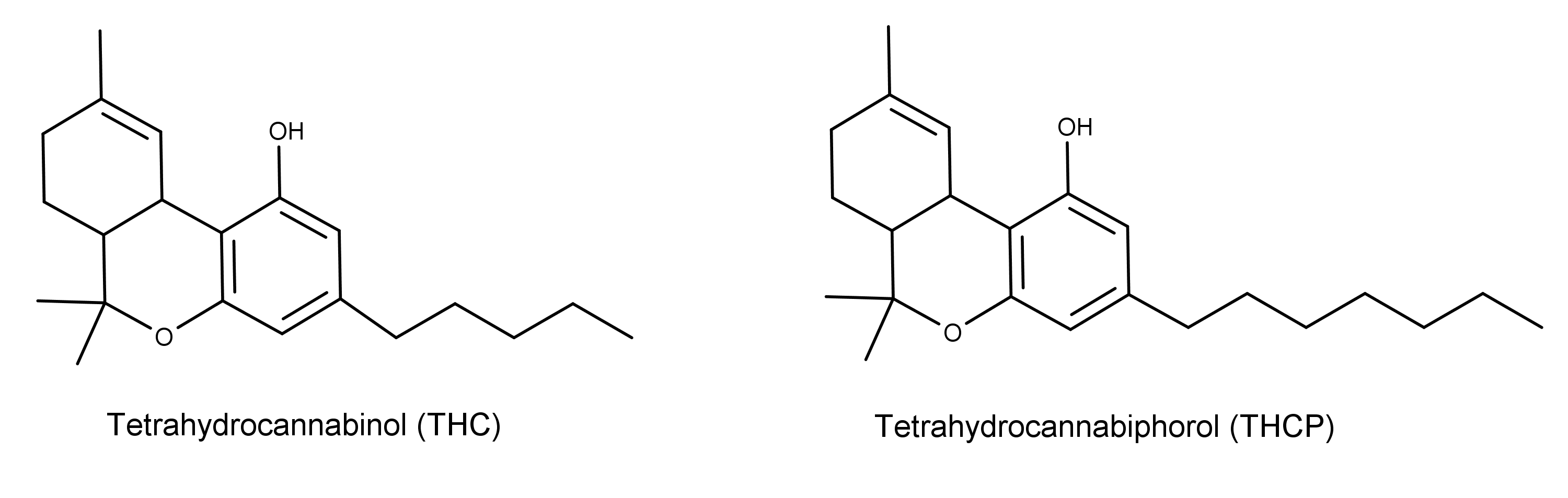 THC vs. THCP | THCP | THCP Products | CBD Direct Solution