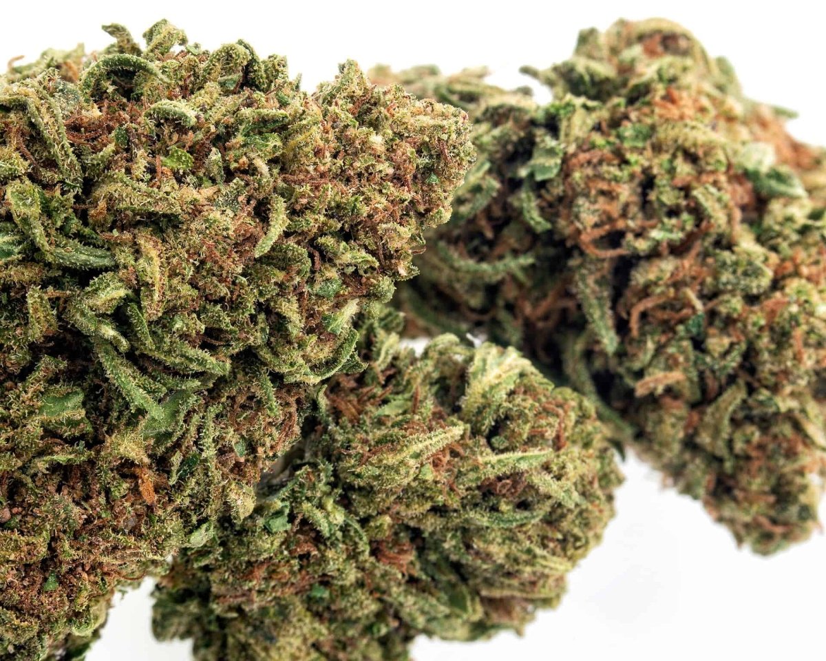 CBD - CBD Direct Solutions