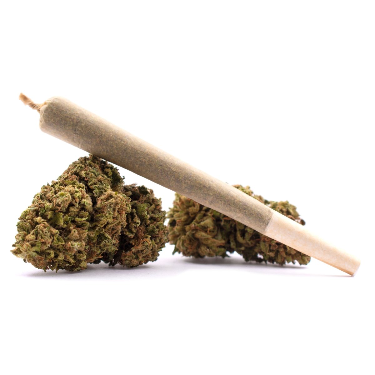 CBD Pre Rolls - CBD Direct Solutions