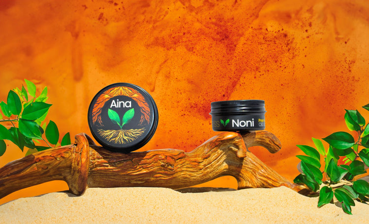Aina Wellness Tropical CBD Topical Noni Balm, featuring its packaging with a blend of Kauai-grown Noni fruit that delivers a heat-activated sensation for a unique soothing experience | CBD Direct Solutions