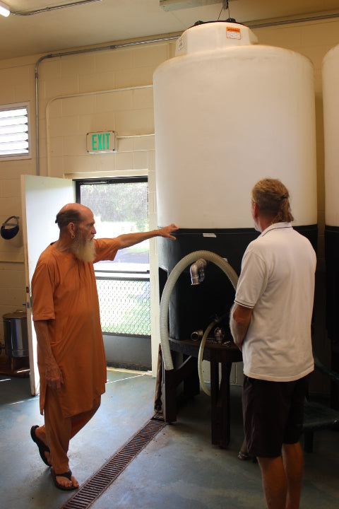 Acharya Arumuganathaswami, a senior Hindu monk, carefully tending to tropical botanicals at a monastery in Kauai, which are sourced for Aina Wellness Tropical CBD Topical Balm | CBD Direct Solutions